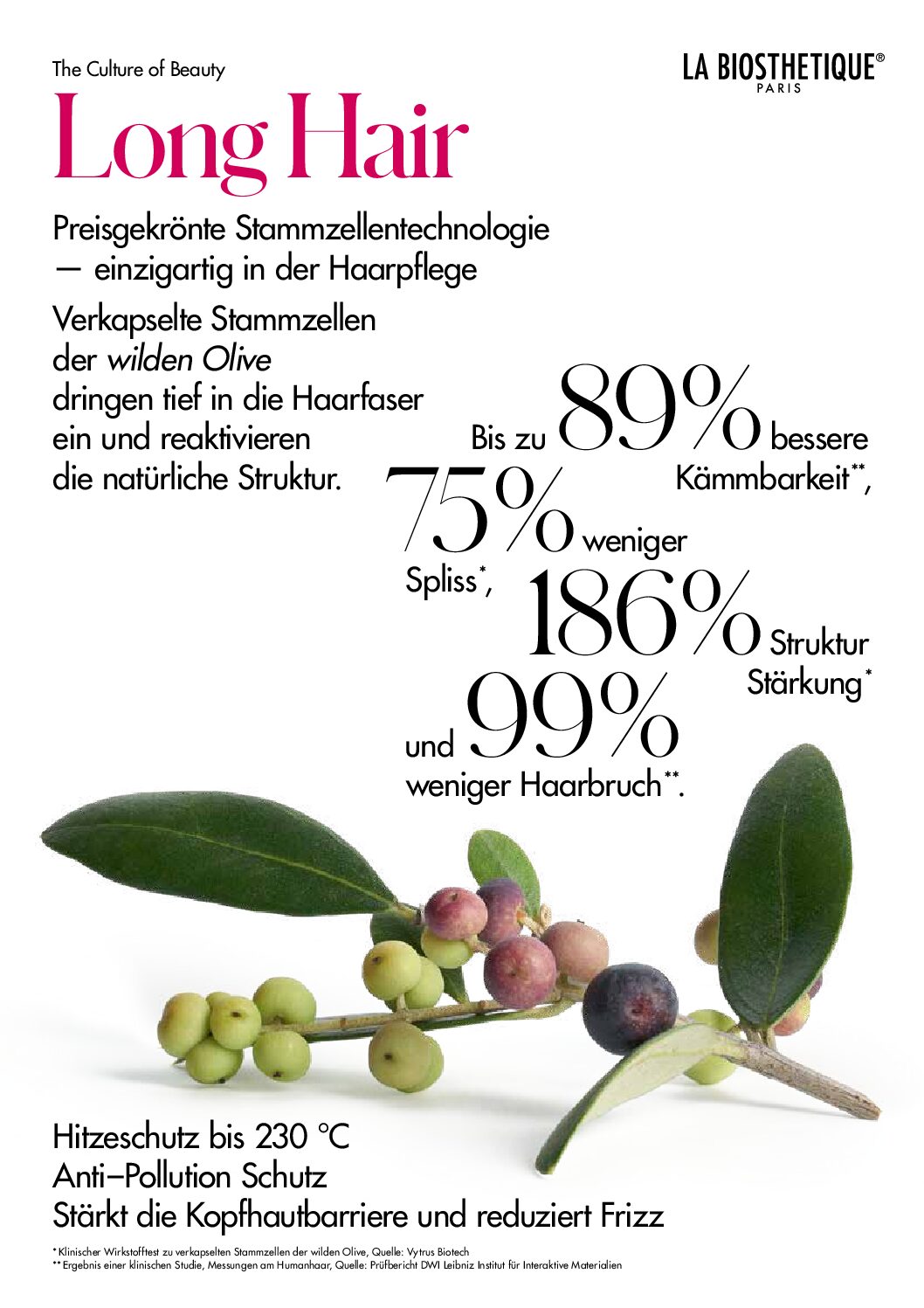 LONG HAIR  — BIO-TECH-ZUKUNFT FÜR LANGE HAARE